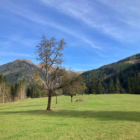Schaffergut Appartements Donnersbachwald Eksteriør bilde