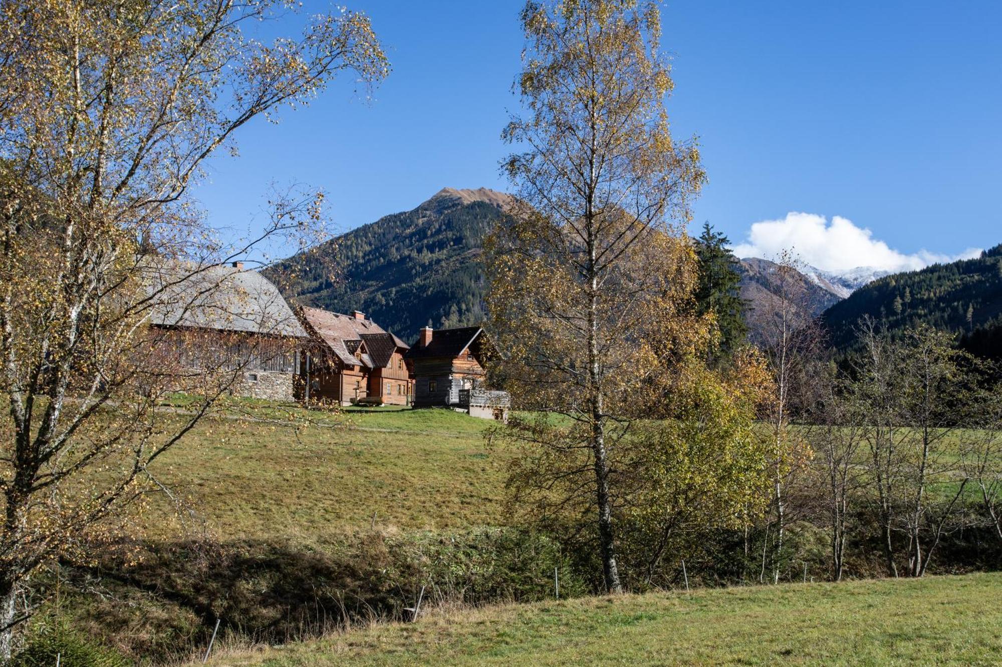 Schaffergut Appartements Donnersbachwald Eksteriør bilde